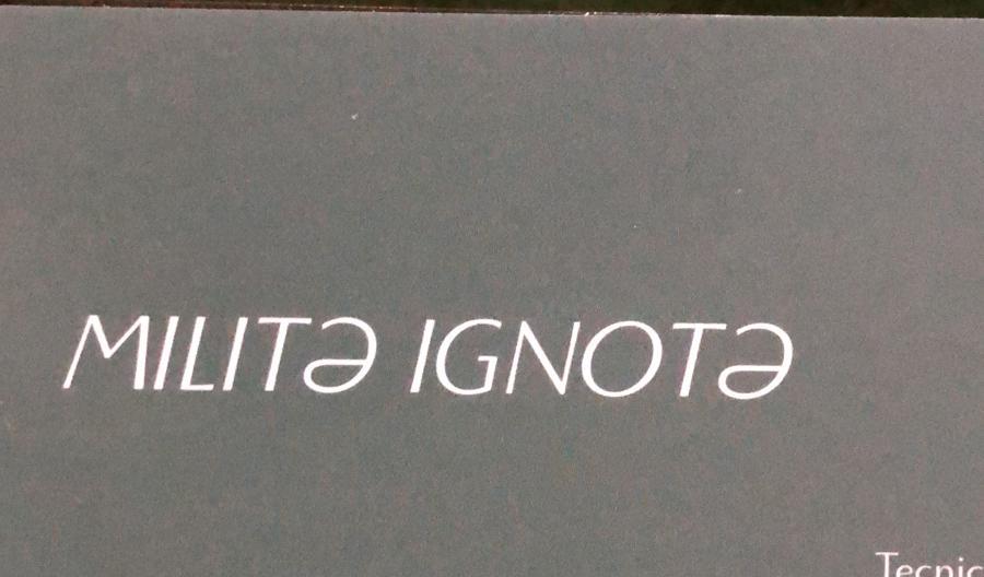 milite ignoto comics