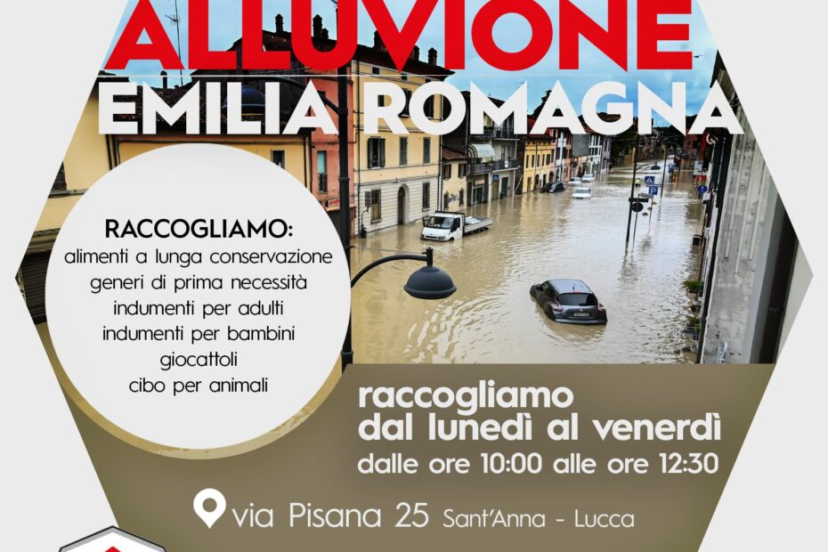 DL-raccolta alluvione