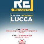 Remigrazione