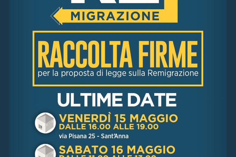 Remigrazione