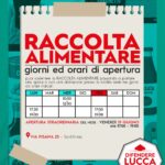 raccolta alimentare